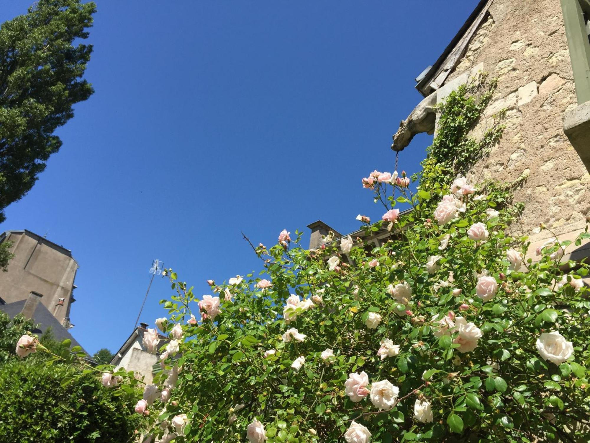Loire Valley Medieval Getaway Rochecorbon Zimmer foto