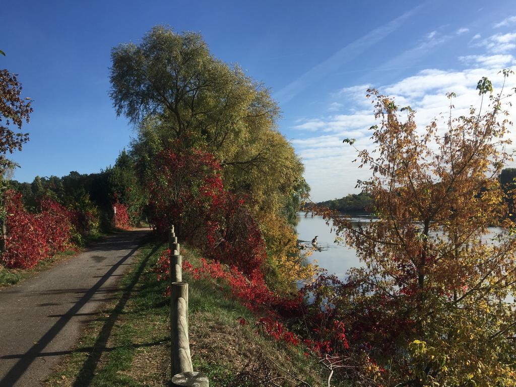 Loire Valley Medieval Getaway Rochecorbon Exterior foto