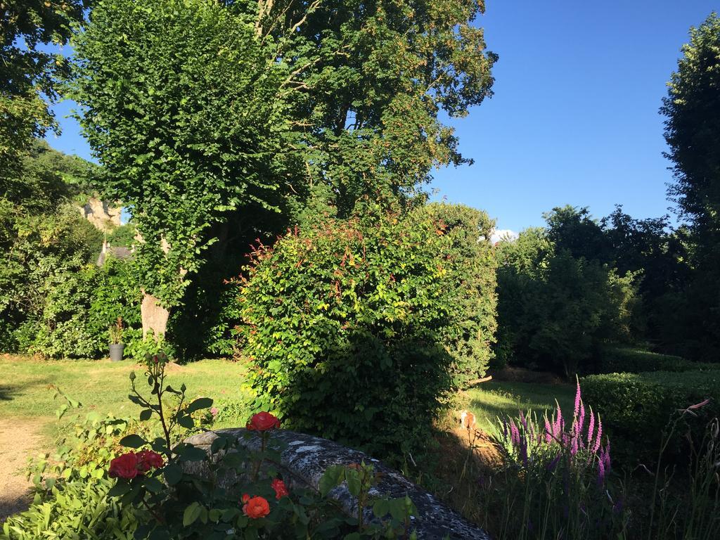 Loire Valley Medieval Getaway Rochecorbon Exterior foto