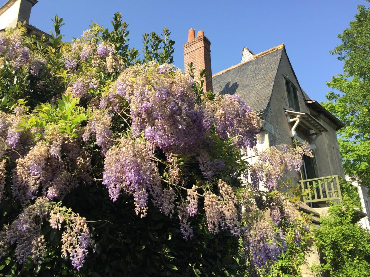 Loire Valley Medieval Getaway Rochecorbon Exterior foto